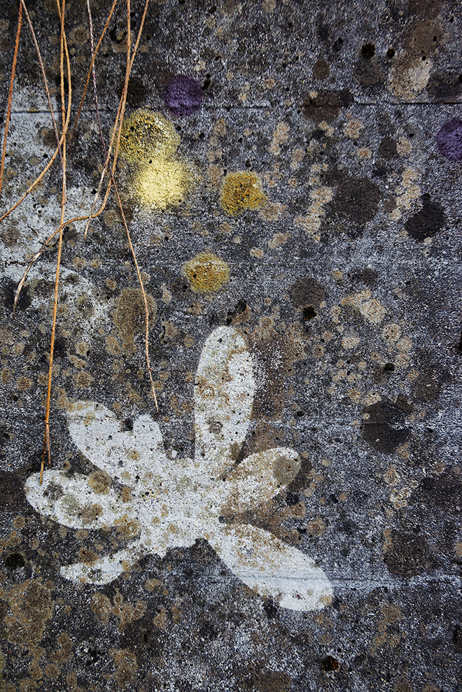 Gen Atem Project - Flora Magica - Art in public space, 2022