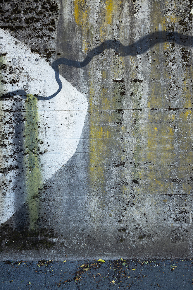 Gen Atem Project - Flora Magica - Art in public space, 2022
