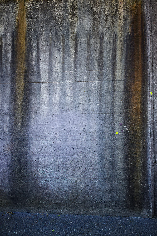 Gen Atem Project - Flora Magica - Art in public space, 2022