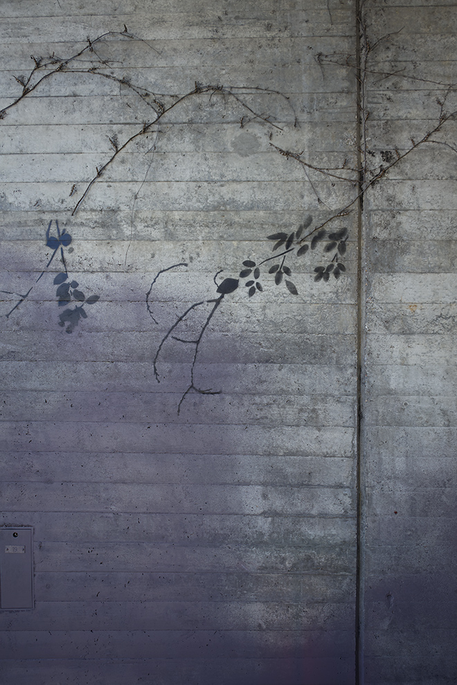 Gen Atem Project - Flora Magica - Art in public space, 2022