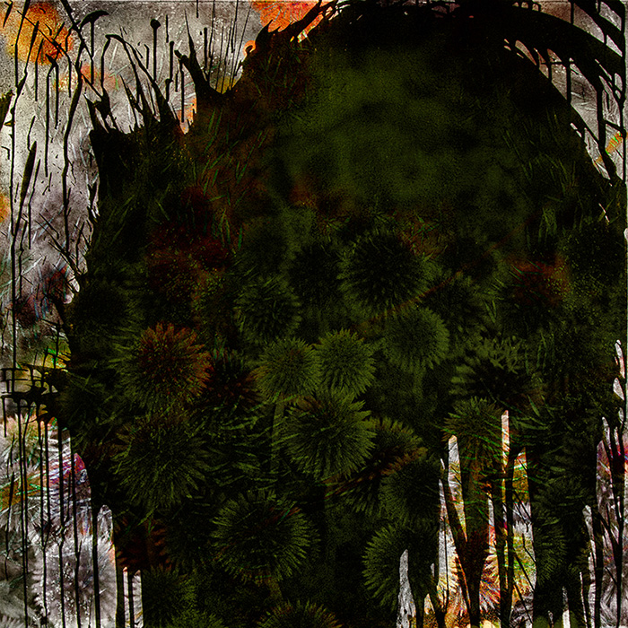 Gen Atem Project - Flowers - Collages, 2015