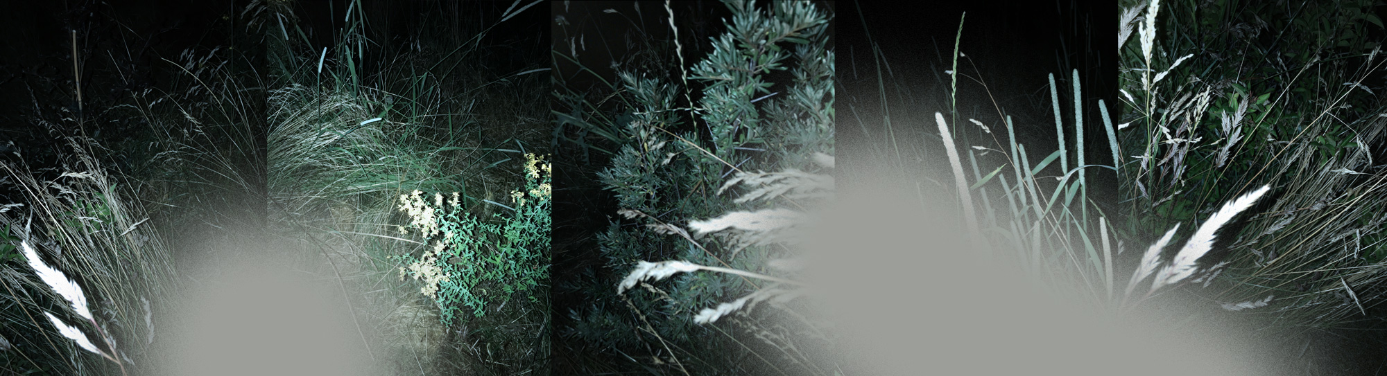 Gen Atem Project - The Nature of Things - Digital painting on photography, 2025