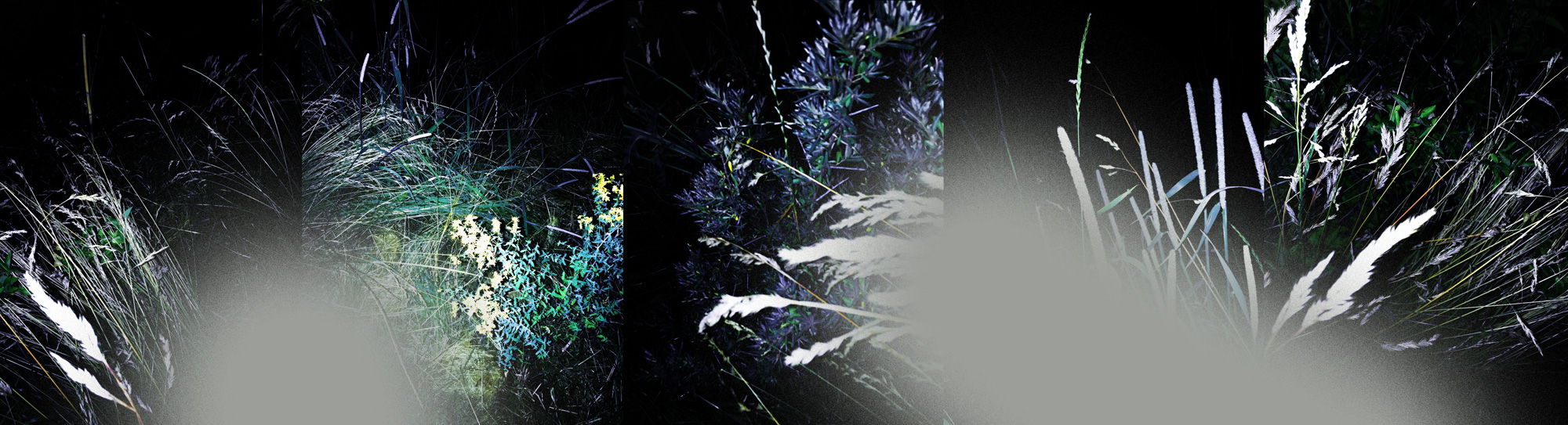 Gen Atem Project - The Nature of Things - Digital painting on photography, 2025